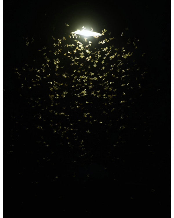 89d67f266d4c4e555c4b8c1d4a4f2e57_1779069646_3885.png